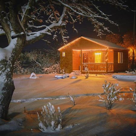Family Hotel Maia - Cемейная Гостиница Майя Dashbashi Bagian luar foto