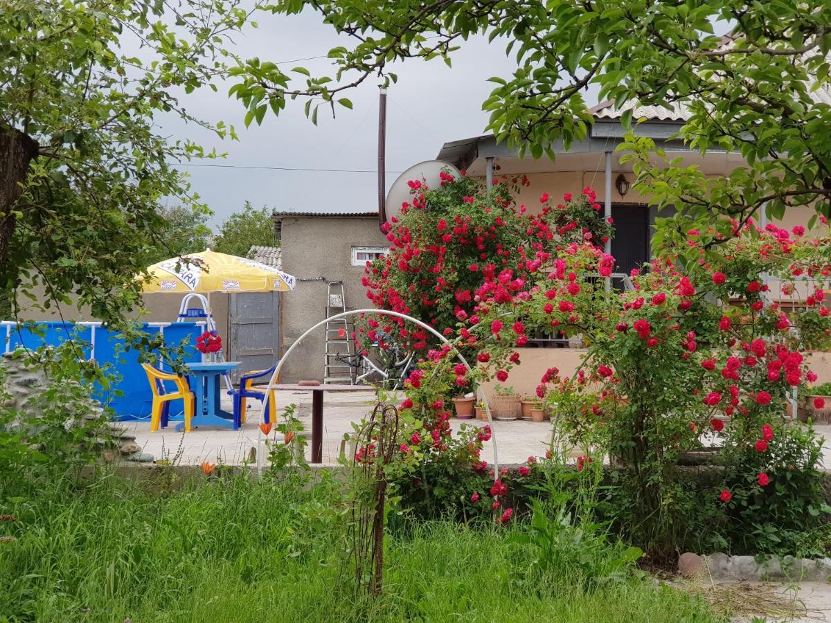 Family Hotel Maia - Cемейная Гостиница Майя Dashbashi Bagian luar foto