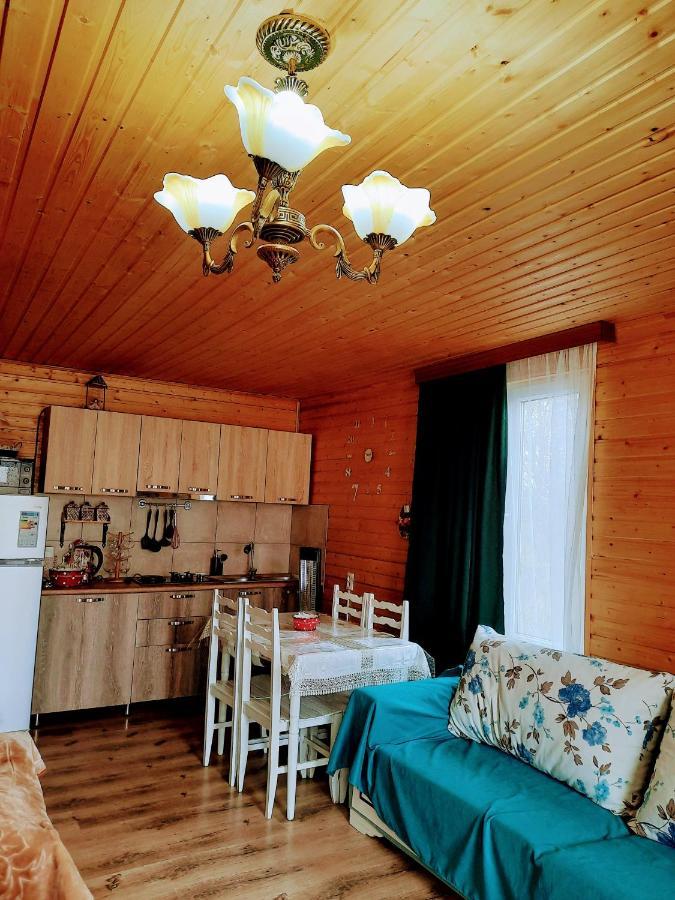 Family Hotel Maia - Cемейная Гостиница Майя Dashbashi Bagian luar foto
