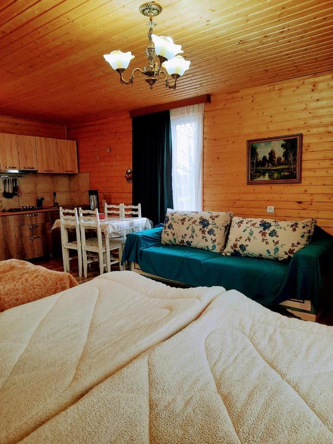 Family Hotel Maia - Cемейная Гостиница Майя Dashbashi Bagian luar foto