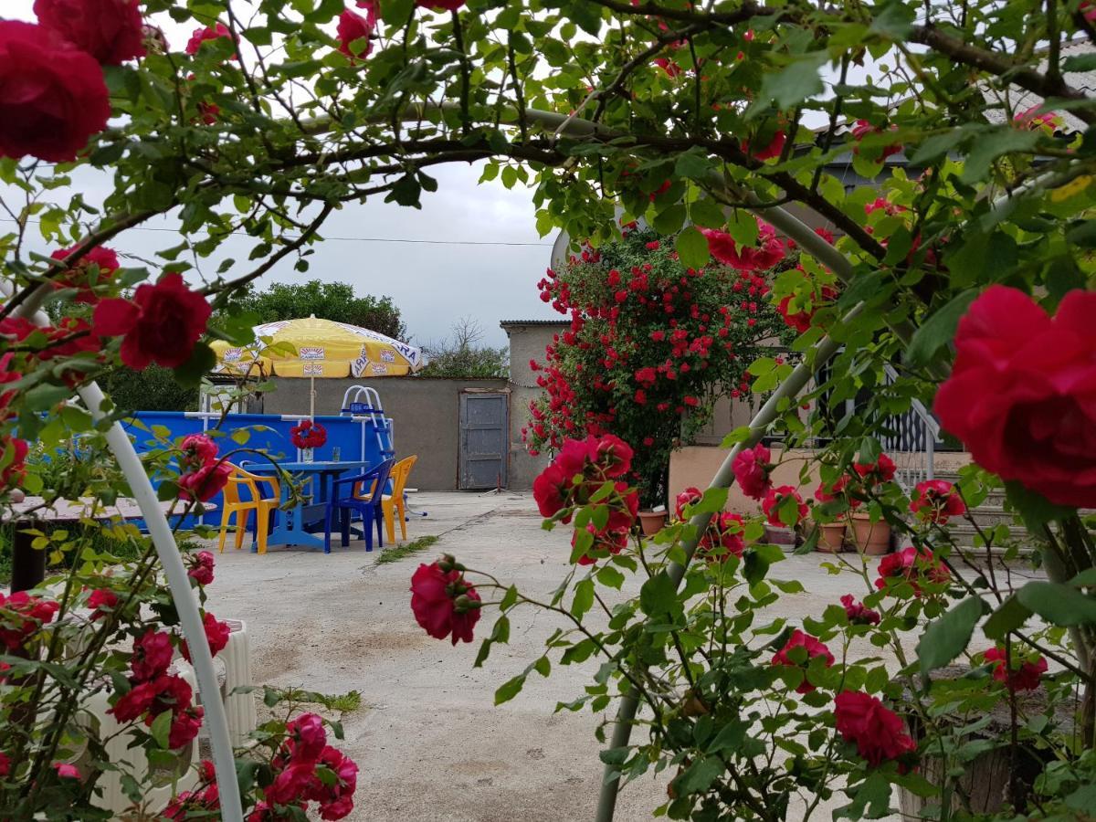 Family Hotel Maia - Cемейная Гостиница Майя Dashbashi Bagian luar foto